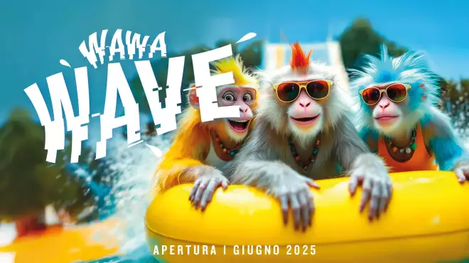 UNA VACANZA ...TANTI PARCHI !