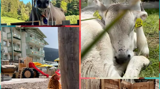 8/15 giugno, Caccia al tesoro tra gli animali