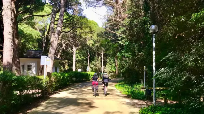 In bicicletta tra mare, laguna e pineta