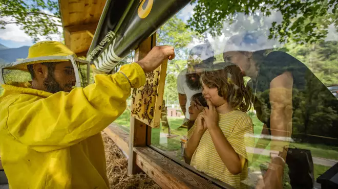 Family Escape in Trentino: tra gusto e Natura in Val di Sole