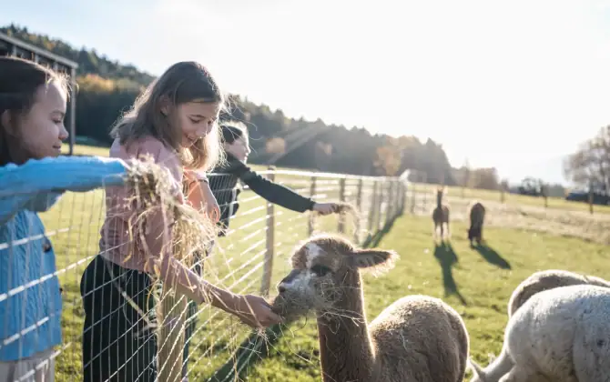 AKI Family Resort PLOSE