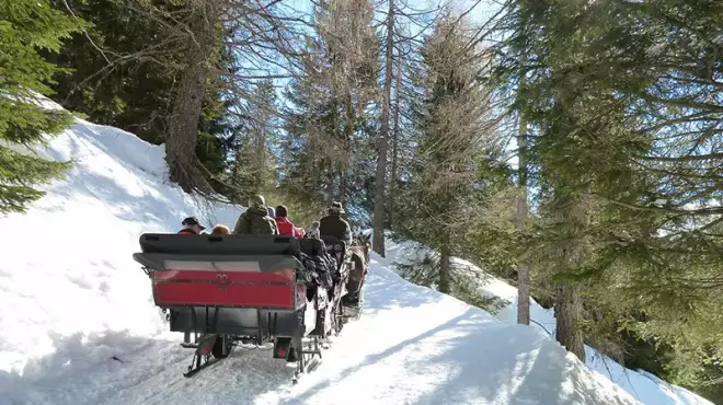 Settimana Bianca a Febbraio in Trentino