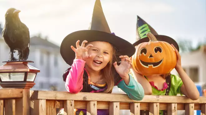 🎃Halloween con biglietto Fiabilandia OMAGGIO