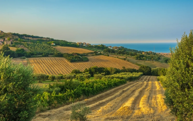 Paesaggio rurale vicino Fermo, Marche