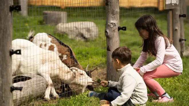 PRIMA VOLTA IN MONTAGNA