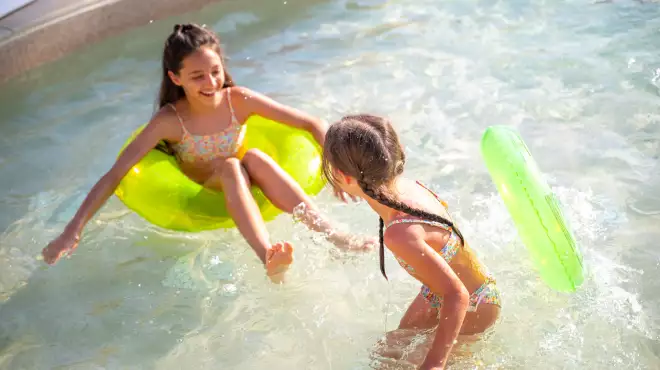 Great Reasons to Choose the Doge for Your Next Holiday!