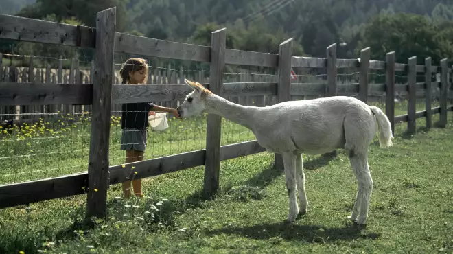 My May - 10% tutta maggio