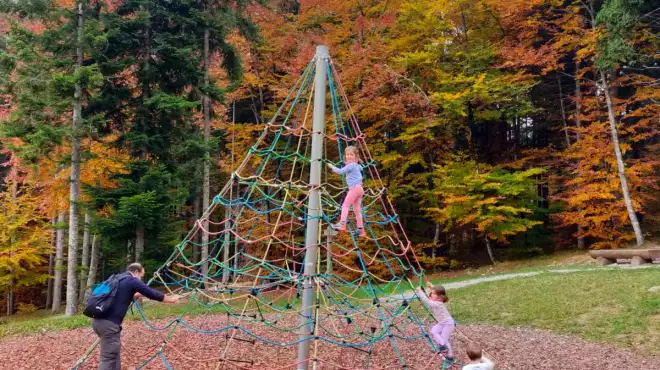 🍂 Foliage all’Alpino: 20 Settembre – 1 Novembre