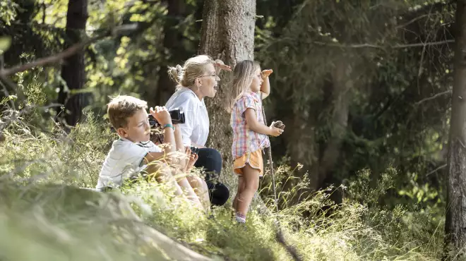 Vacanza avventura per piccoli esploratori -