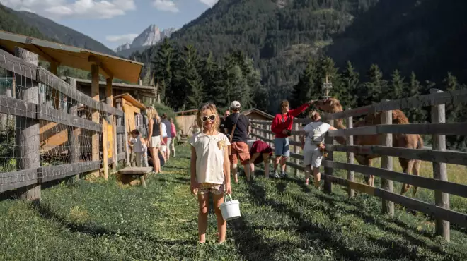 Early Summer in the mountains