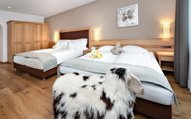 Superior Family Room