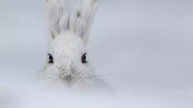 Dove il tempo si ferma e i sorrisi fioriscono: Pasqua sulla neve