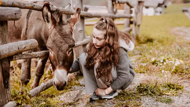 Family Quality Vacation in the Dolomites