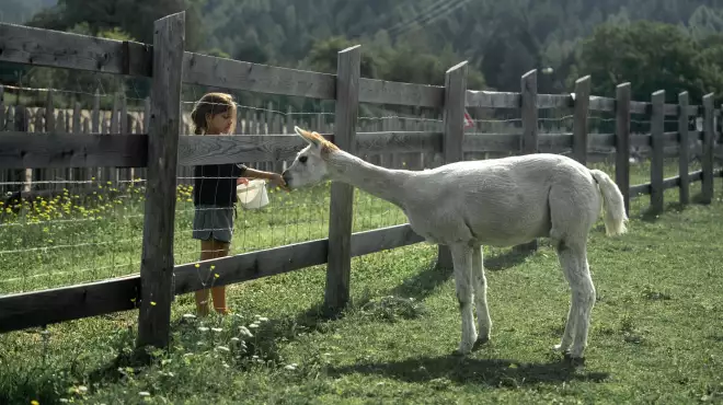 🎁 Speciale Pentecoste: 1 regalino incl.