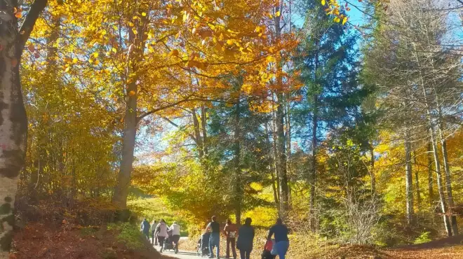 Speciale Autunno 1+1