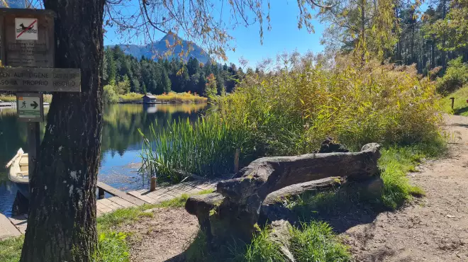 SPECIALE FINE SETTEMBRE: autunno dorato
