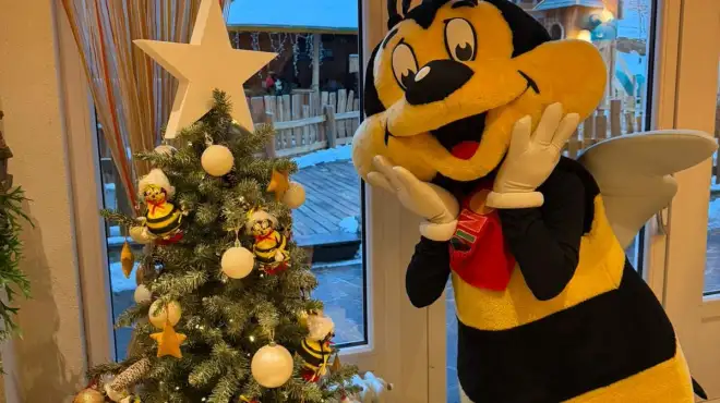 Fiocchi & Sorrisi: Natale Insieme